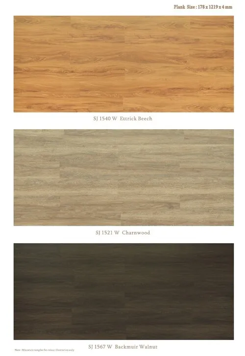 Clickpro Colorito (4)